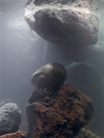 Pierre Huyghe at LACMA