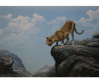 Cheetah in Mountain Landscape - Peter Jepson