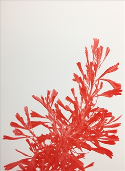 Anita Bunn: No Real Edge - Offramp Gallery