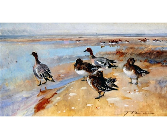 Widgeon on a North Norfolk Estuary by Frank Southgate