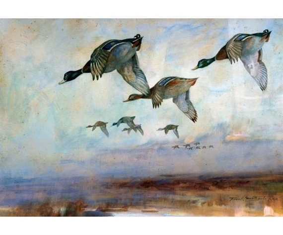 Mallard in Flight by Frank Southgate