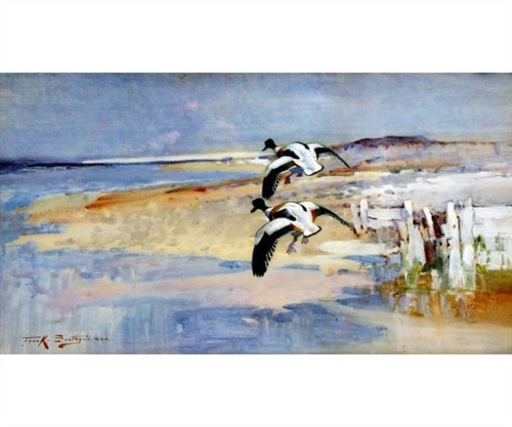 Shellduck Alighting over a North Norfolk Coast by Frank Southgate