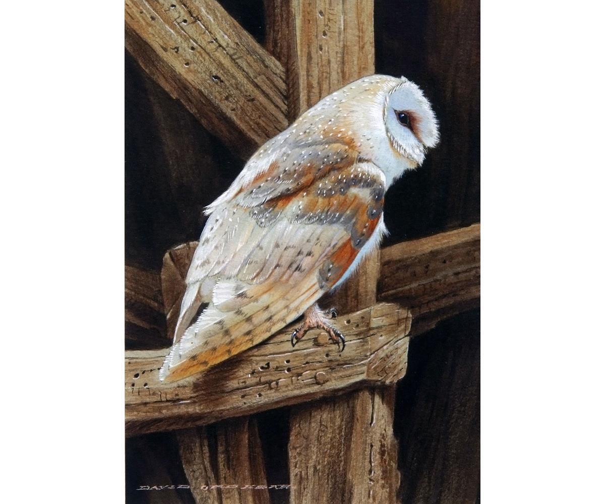 David Ord Kerr | Barn Owl | MutualArt