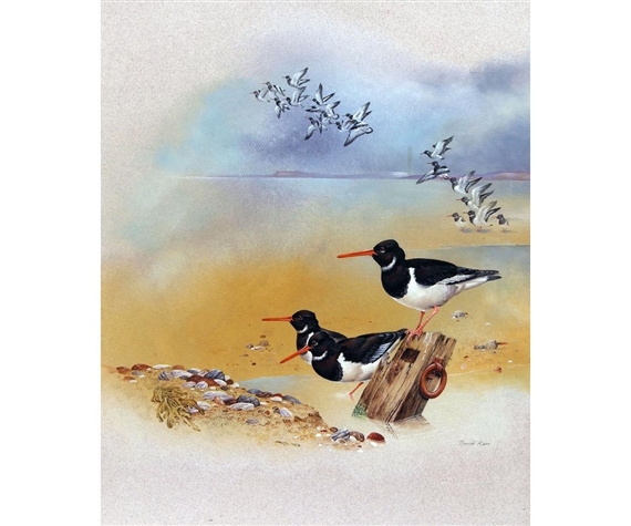 David Ord Kerr | Oyster Catchers | MutualArt