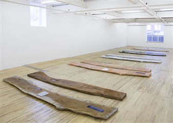 Lucy Skaer: Sticks & Stones - Murray Guy