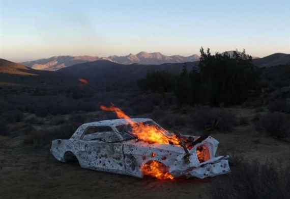 Alternative Contemporaneity: TAZ - Museum of Contemporary Art (MOCA), North Miami