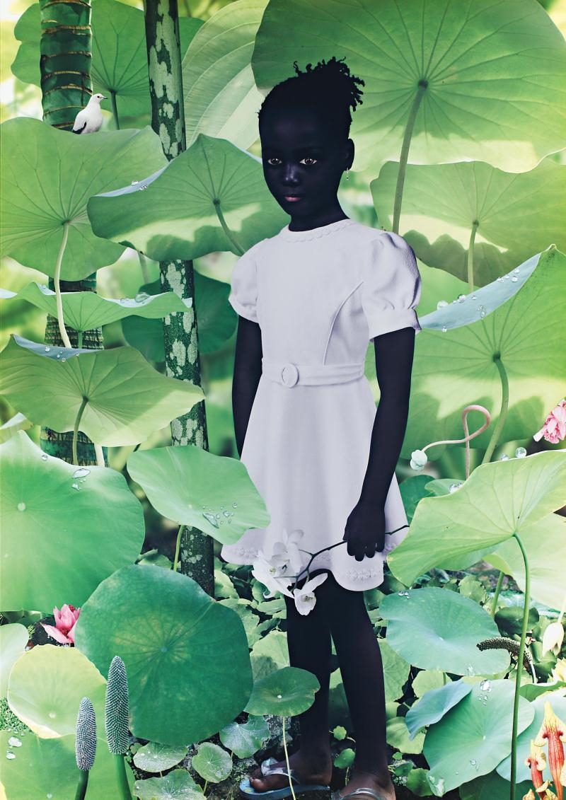 Artwork by Ruud van Empel, World #12, Made of Ilfoflex, Dibond, mounted on Plexiglas