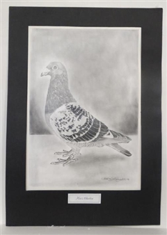 Kev's Checker - Kevin Everett