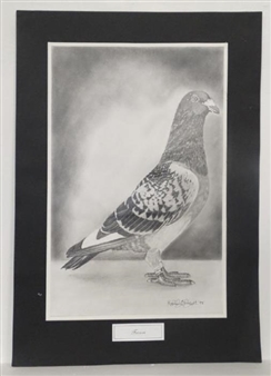 Favori - Kevin Everett