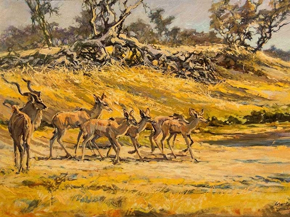 Kudu in a Dry Riverbed by Johan Grobler