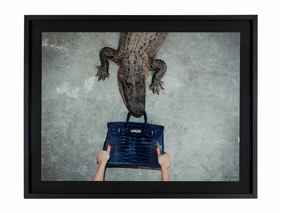 Hermes Birkin, Gator, Hands by Tyler Shields, 2014