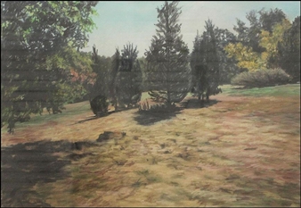 FOUR CEDARS - Deborah Cornell