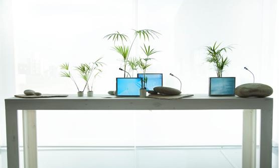 Silvia Rivas: Igual el Paraiso es nuestro | Still, Paradise is Ours - Diana Lowenstein Gallery