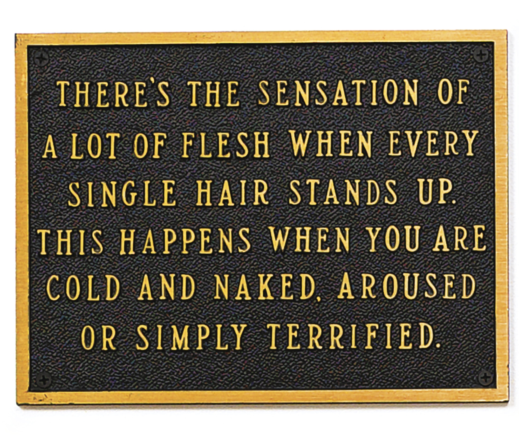 Jenny Holzer THE LIVING SERIES THERE'S THE SENSATION OF A