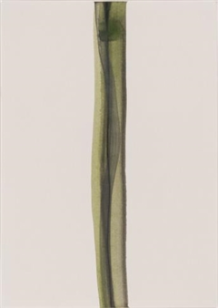 Martin Assig, Lorenz Estermann, Thomas Muller - Bernard Vidal – Nathalie Bertoux Art Contemporain