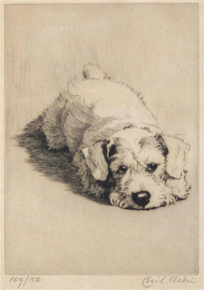 A Sealyham Terrier puppy by Cecil Aldin