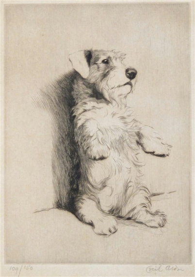 A Sealyham Terrier on her haunches by Cecil Aldin