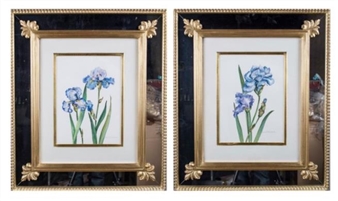 Irises - Dora McDaniel