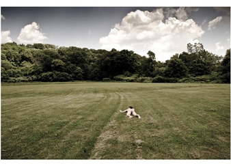 University of Toronto Shelley Peterson Student Art Exhibition - Art Museum at the University of Toronto, University of Toronto Art Centre