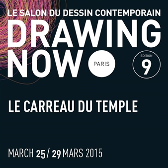 Drawing Now Paris 2015 - Salon du Dessin