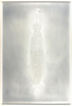 ADAM FUSS アダム・フス「MY GHOST」直筆サイン入り ADAM FUSS アダム・フス「MY GHOST」直筆サイン入り ADAM FUSS