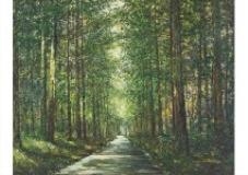 A Splendid Desire - Suiver Guret