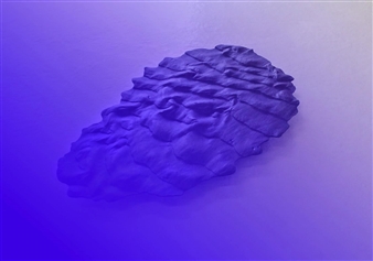 Thomas Tronel-Gauthier: Ce Que J'ai Vu N'Existe Plus - 22,48 m²