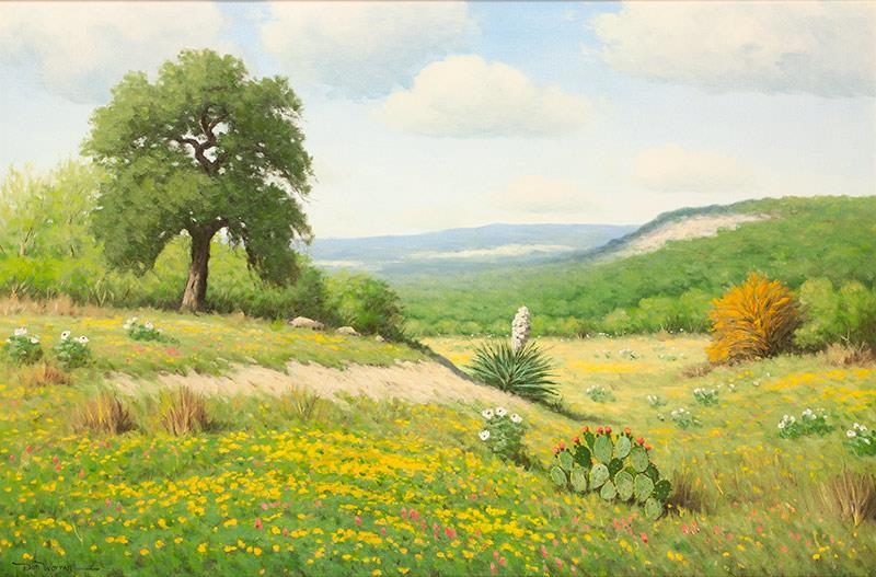 Don Warren Hill Country Indian Paintbrush, Yucca and Oak Tree MutualArt