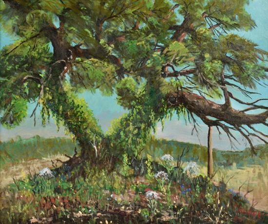 The Coppini Tree, Broadway & Arcadia by Carl Thomas Hoppe, 1965