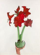 Amaryllis a la Terre Cuite by Jacques Chalom des Cordes