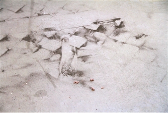 Igor Eskinja: Poems of Accumulation and Growth - Scaramouche