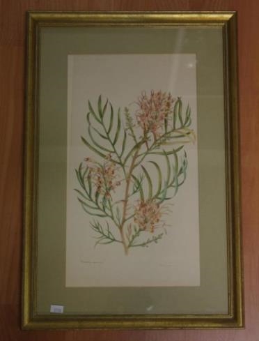 Peter Longhurst | Banksia Grevillia (1973) | MutualArt