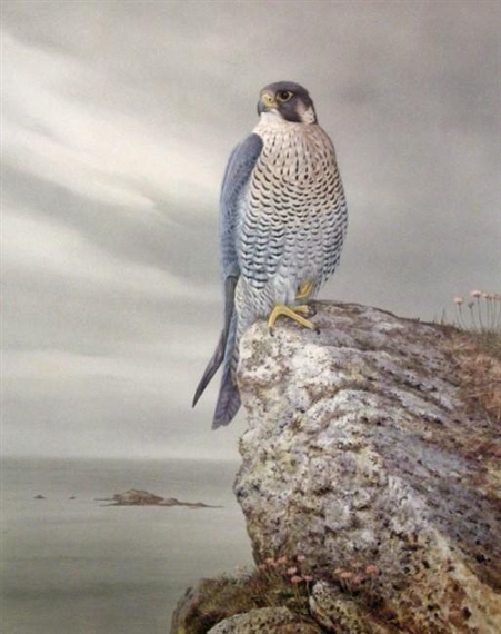 R. David Digby | Peregrine falcon | MutualArt
