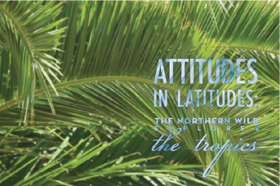 ArtCenter/South Florida Unveils Newest Exhibition