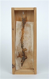 ‘It’s the Ghost of Joseph Beuys!’ A Walkthrough at Mitchell-Innes & Nash