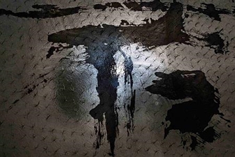 Rogen Ebihara, Antoine Poupel - Galerie Nichido