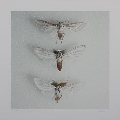 Artwork by Lien Botha, RADIO MARIA SERIES: KAAPSTAD, Made of photographic print