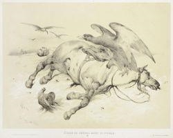 Study of a dead horse and an eagle by Victor Adam