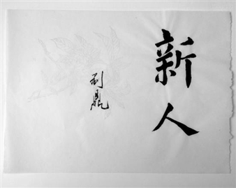 Liu Ding: New Man - MOT International, London