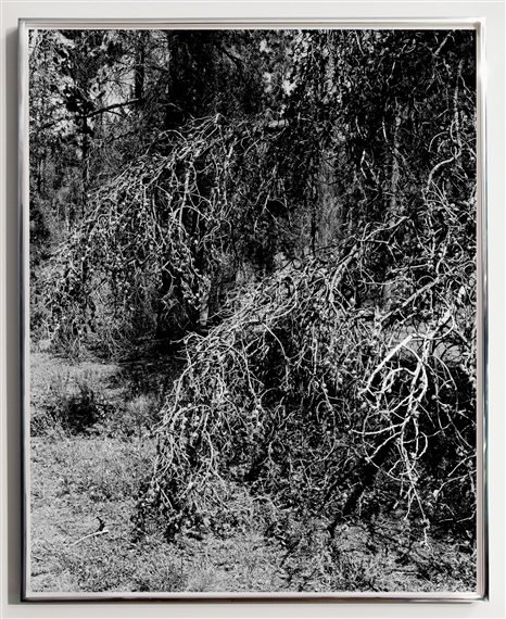 Justin James Reed | 1 Artworks at Auction | MutualArt