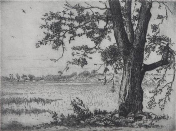 Gustav F. Goetsch | Big Tree | MutualArt