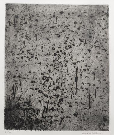 Forest of Gum Trees by Fred Williams, 1965 1966