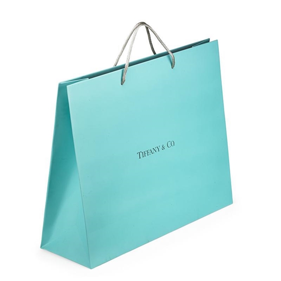 Authentic blue shopping bag from the Tiffany & Co. jewelry store in New  York City - on white background Stock Photo - Alamy