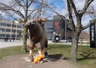 Art Week Stockholm Featuring A New Location For Art Supermarket