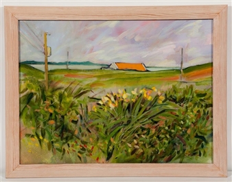 YELLOW FLAG - ORANGE ROOF, TARSKAVAIG, ISLE OF SKYE - Gary Mahon