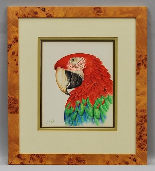 Greenwing Macaw by Eric Peake, 1996