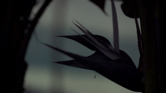 Cyprien Gaillard: Where Nature Runs Riot - Sprüth Magers, Berlin