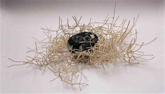 Ignium - Maria Elena Kravetz Galería de Arte