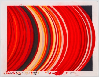 Cosmosis - Hyde Park Art Center