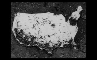 A Journal of the Plague Year - Kadist, San Francisco